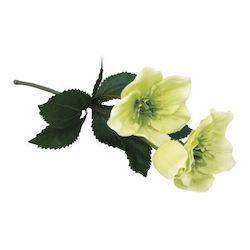 Rayher Flower Length 30cm