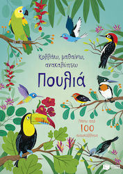 Κολλάω, Μαθαίνω, Ανακαλύπτω, Πουλιά