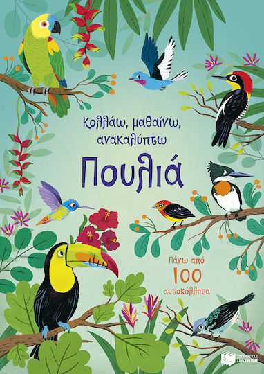 Κολλάω, Μαθαίνω, Ανακαλύπτω, Πουλιά