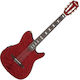 Electro-Classical Guitar Ibanez Frh20qmn-wrl