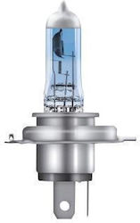 Osram H4 Halogen Bulb Cold White