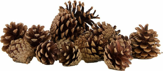 Christmas Decorative Pine 8cm x 10pcs