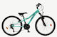Orient Snake Pro 26" Türkis Mountainbike mit 21...