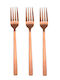TnS Set of Forks Table