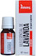 Adams Αιθέριο Έλαιο Λεβάντα 10ml