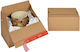 Dinkhauser Kartonagen Packaging Box W29.4xD19.4xH13.7cm 10pcs