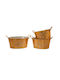 Iliadis Weihnachtlich Container Metallisch Gold