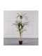 Supergreens Изкуствено Дърво Dracaena Anita Зелено 150 См 6-0829