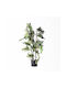 Supergreens Artificial Philodendron Xanadu Green 75 Cm 7-1615
