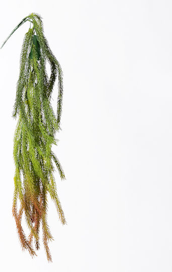 Supergreens Künstliche Hängende Farn Rote 84 cm 7-1641