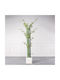 Supergreens Copac Artificial Bambus Verde Auriu 230 Cm 6-0824