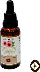 Βάμμα Εχινάκεια 30ml