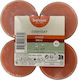 Bolsius Everyday Tealights With Gingerbread Scent In Brown Colour Up To 8 Hours Duration 4 Pieces
