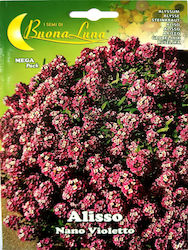 Primasem Семена Violetς Мангекю Primasem Семена Violetς Мангекю