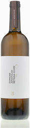 Ktima Apostolidi Bio Retsina Weiß Trocken 750ml Ktima Apostolidi Bio Retsina Weiß Trocken 750ml