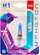 Photon Lămpi Autoturismului & Motocicletei Diamond H1 / H7 Xenon 5000K Alb rece 24V 70W 1buc