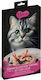 Cat Treat Mavsy Creamy Superfood Shrimp Chicken 5 X 15gr