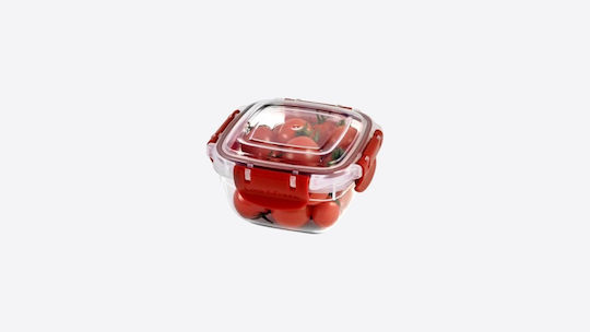 Dunya Lunchbox Kunststoff 275ml 1Stück
