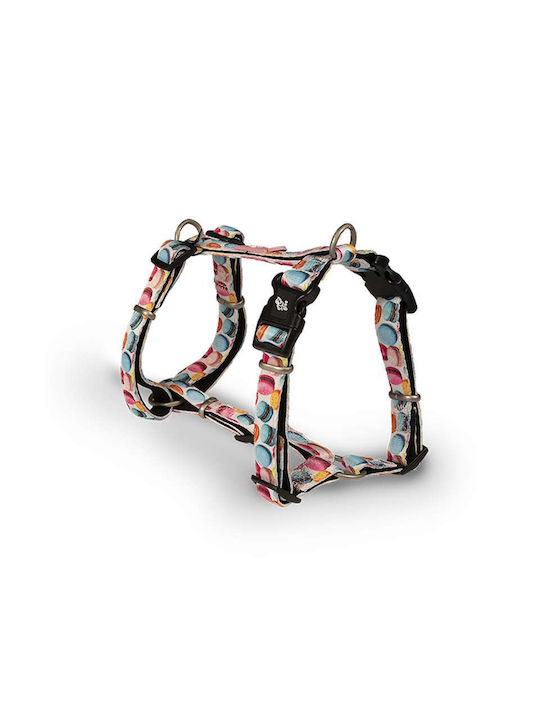 Glee Σαμαράκι Σκύλου Τύπου H Macaron Χsmall 41-52cm