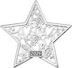 Metal Decorative Star 6x6cm M2026/4494 Silver
