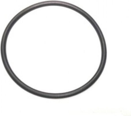 Karcher O-Ringe 6.363-090.0 1Stück