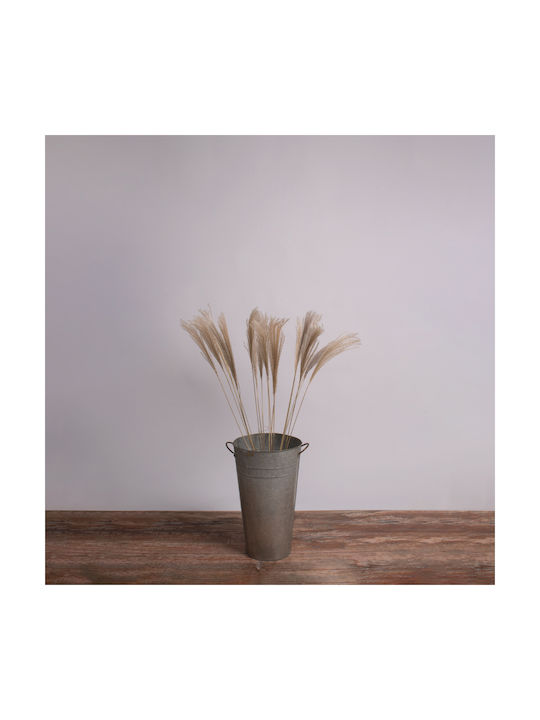 Dried Plant Miscanthus Beige 100cm in Box 20pcs GloboStar