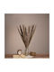 Αποξηραμένο Φυτό Pampas grass Καφέ/Γκρι 80cm 10τμχ GloboStar
