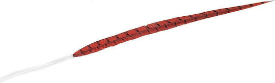 Pană Decorativă Red 70cm 12buc Espiel