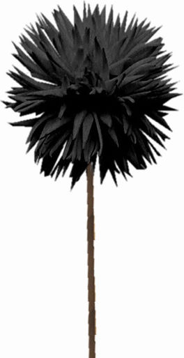 Künstliche Blume Schwarz 100cm 6 Stück Art et Lumiere