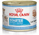 Royal Canin Starter Mousse Υγρή Τροφή Σκύλων με Κρέας 12x195gr