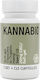 KannaBio Ulei Produse din cânepă (CBD) 20mg 3 capace 30 softgels