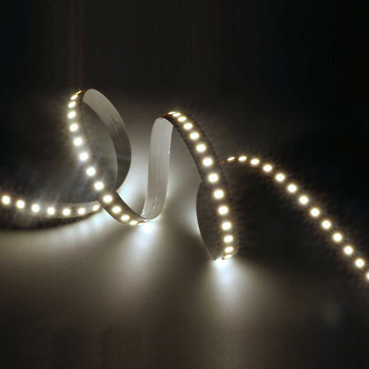 Cubalux LED Лента Tωra 24V Неутрално бяло Светлина 50м