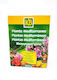 KB Global Λίπασμα για Εσπεριδοειδή 800gr