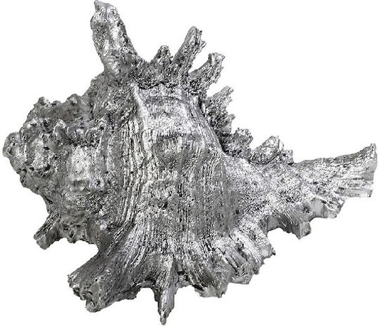 Decorative Tabletop Seashell Polyresin Silver Espiel 14x12.5x9.5cm Mt2728k2 Set 2 Pieces Material Polyresin Silver Espiel Mt2728k2