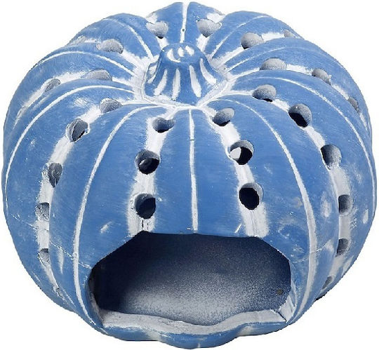 Κολοκυθα Μπλε 12,5χ12,5χ8εκ Σετ 6 Τμχ Espiel