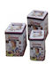 Etoile Plastic Cutie de Depozitare cu Capac 3buc