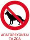Next Sign Sticker PVC "Prohibition of Pets Entrance " 15x20cm 10pcs