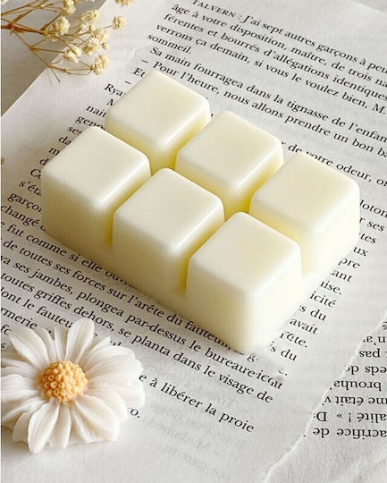 Home Fragrance Wax Melts 6 Pieces 66g No997041