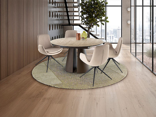 Stühle Speisesaal Beige 1Stück 59xx55cm