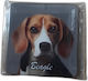 Action Lab Magnet Beagle