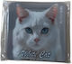 Action Lab Magnet Weißer Katze