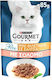 Gourmet Wet Cat Food in Pouch with Salmon and Fish 85gr