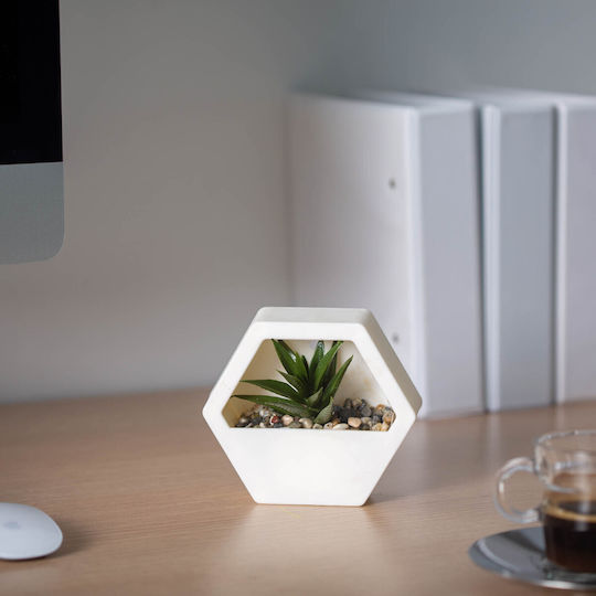 Artificial Plant Decor Wall 13 X 12 Cm 4 Types