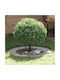 vidaXL Topf Metallisch Grey