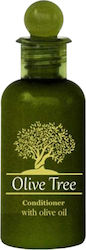 Olive Tree Konditionierer Hotel Amenities 40ml Olive Tree Konditionierer Hotel Amenities 40ml