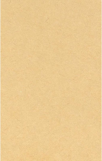 Next Ecofriendly Cardboard Brown