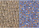 Next Canson-Karton Rainbow Beidseitig 50x70cm.