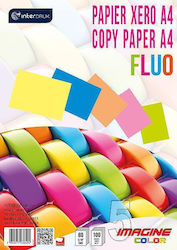 interDRUK Cardboard A4 5 Sheets