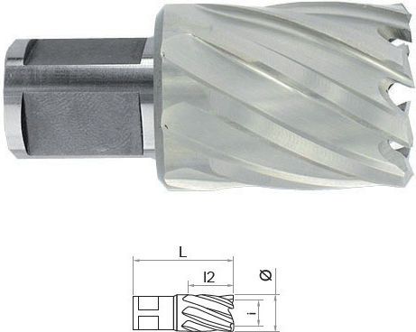 Hss Weldon Shank Carrot 3/4'' Length 30 Mm Size 27.0