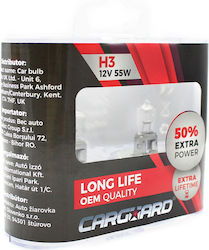 Set 1 Set 2 Lămpi Auto Halogen H3 55W +50% Intensitate Durată Lungă De Viață Carguard Set 1 Set 2 Lămpi Auto Halogen H3 55W +50% Intensitate Durată Lungă De Viață Carguard